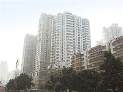 兩地車牌政策調整 珠海樓市迎短暫波動 替代政策或助力實業投資